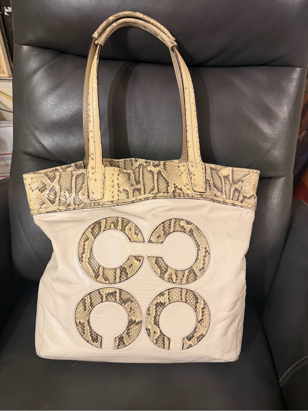 Coach Audrey Python North-South tote bag